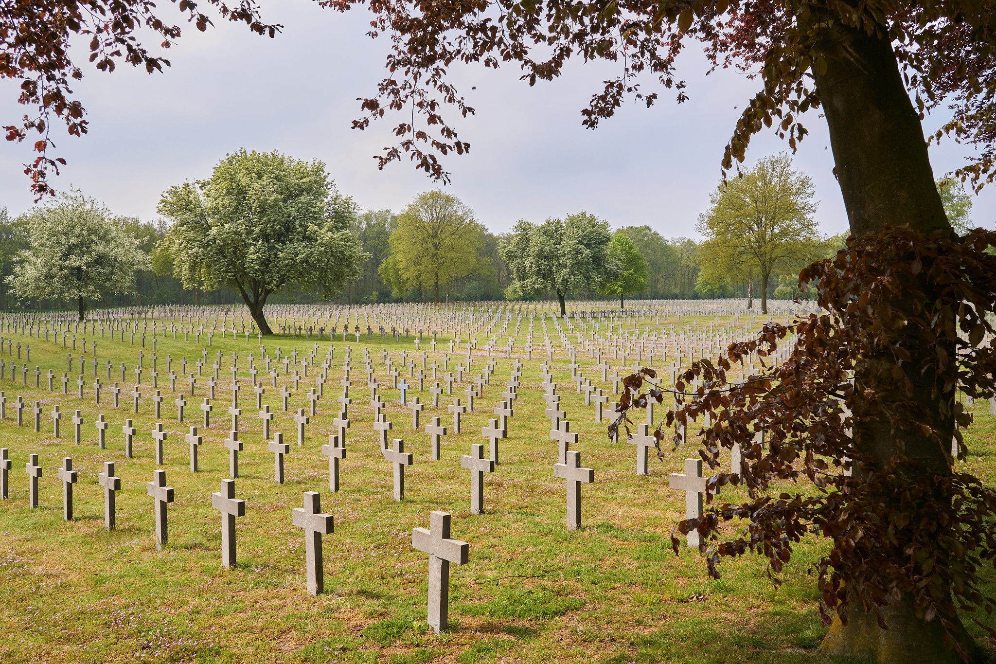 Kriegsgräber in Ysselsteyn