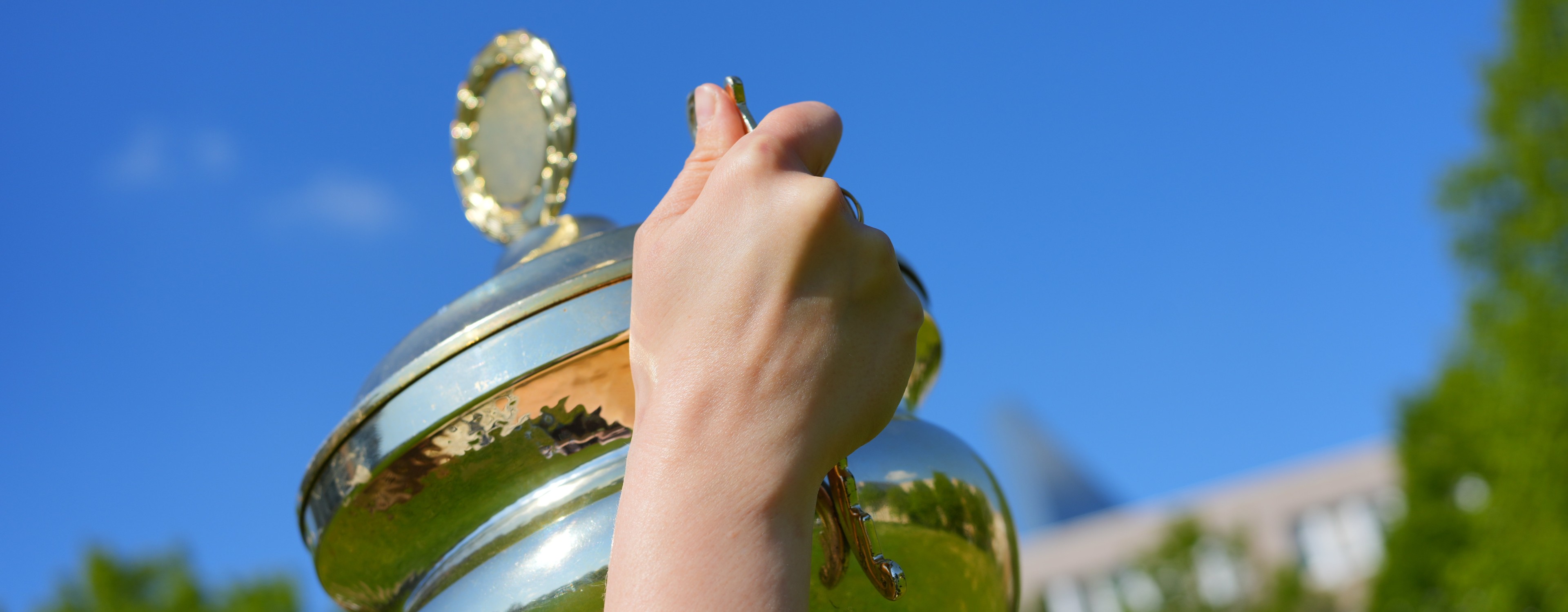 Hand mit Pokal